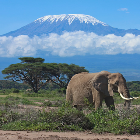10-day-kilimanjaro-climb