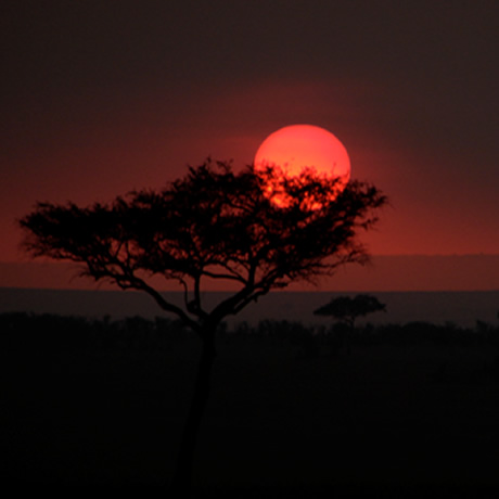 13-day-kruger-cape-town-and-winelands