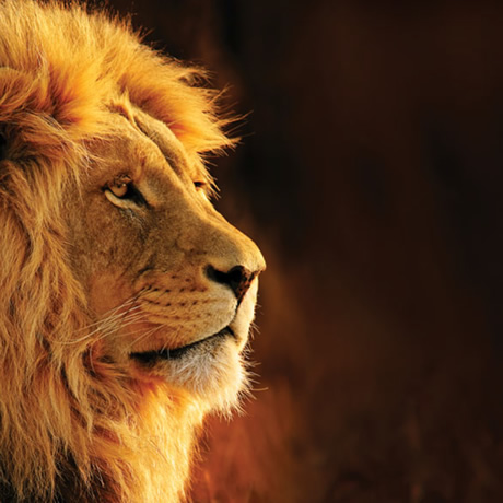 secluded-skysafari-kenya-classic-itinerary-2017